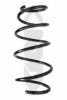 SPIDAN 86846 Coil Spring